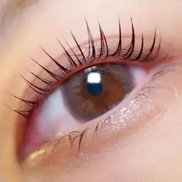 次世代パーマ！ ラッシュ リフト(上)