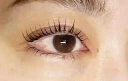 パリジェンヌラッシュリフト　上