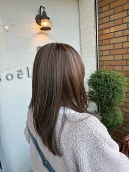 🌸フルカラー➕白髪ぼかしハイライトフル🌸全体のハイライト