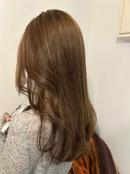 限定価格ハイライトモデル30枚🐩