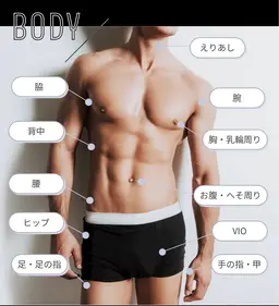 男性全身脱毛(ヒゲ無し、VIO込）メンズ