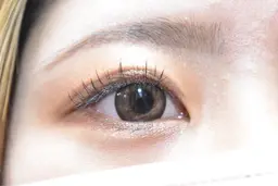 🎶【フラットラッシュ】🍒 120本 オフ込み✨️