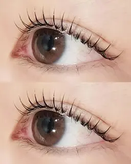 【12/24 16-19時、12/25 12-18時限定🎀】まつ毛パーマ/パリジェンヌ(アイシャンプー付き♪)