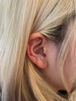 ✴︎耳つぼジュエリー✴︎両耳20粒まで