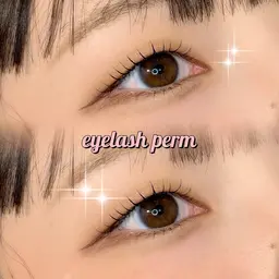 【ご新規様限定🐱￥4000】韓ドル風まつ毛パーマ（上のみ）トレンド束感仕上げ♬