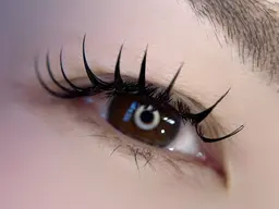 【新規限定】フラットラッシュつけ放題