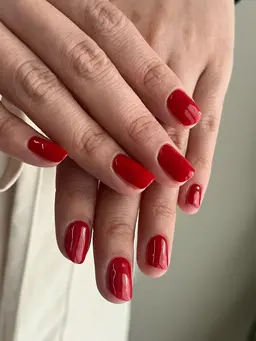 ワンカラー(オフ無し)