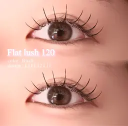 【オフ無しの方限定🪄】✨フラットラッシュ120本✨付け足し❌⚠️補足説明必読⚠️