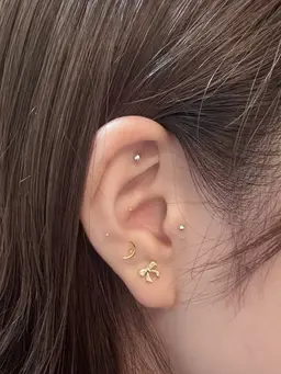 耳ツボジュエリー💎12粒