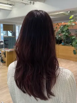 【女性限定🐿】カット+ブリーチなし高発色カラー+Aujua 2stepトリートメント🦊