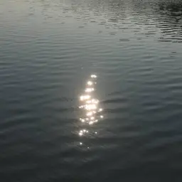 【オフなし】Foot Basic