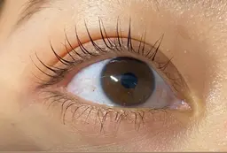 まつげパーマorパリジェンヌ✨