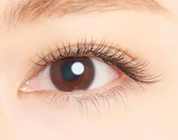 ＊新規＊国産最高級セーブル100本→3300円