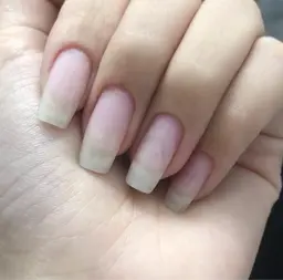 スカルプオフのみ