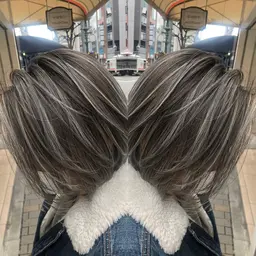 【★限定クーポン★】イルミナカラー+ハホニコ3stepトリートメント