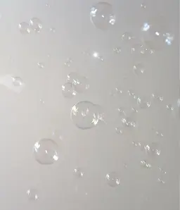 【プラスメニュー】アイシャンプー🫧