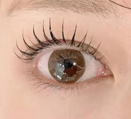 12月予約限定クーポン🤎大人気ラッシュリフト3900円！！美容液コーティングpresent🫶