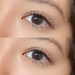 フラットラッシュ60本