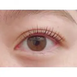 ラッシュリフト