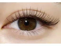 【限定モデル】最高級フラットラッシュ【100本】★オフ込★コーティング付♪