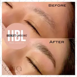 ハリウッドブロウリフトモデル（女性）