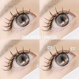 🦕フラットマットラッシュ【50本(付け足し)】