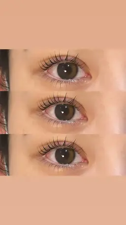 【✨ご新規様500円off✨】下まつげパーマ