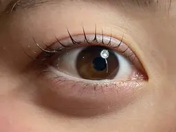 オープン記念‼️12月限定‼️まつげパーマ3300円✨️パーマでもしっかり上がります！！ぜひお試しください✨