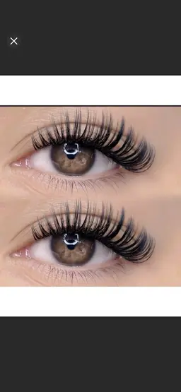 バインドロック120束L E D無料