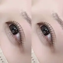 【新規／当日限定🤍】ラッシュリフト（上下セット）