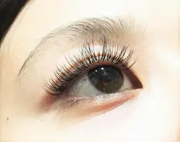 ボリュームラッシュ160束480本