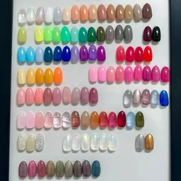 ワンカラー¥5000