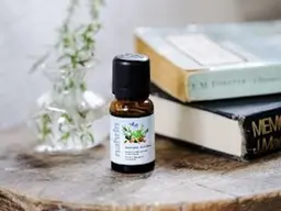 【Narinハーブオイル付】眠る前までリラックス♪ドライヘッドスパ