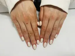 ハンド ワンカラー 【オフあり】