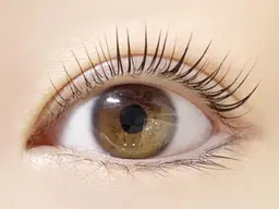 ✨🌸🌷新規限定パリジェンヌラッシュリフト上✨🍬