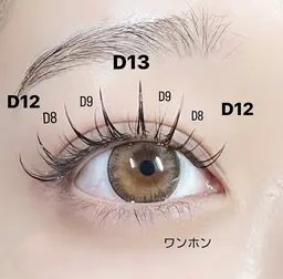 ❤️🔥フラットラッシュワンホンデザインマツエク🉐(120本6530/140本7530) ❤️🔥