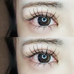 フラットラッシュ 80本