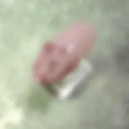 🖤大人気 2月来店限定 月替り⚠️ Secret Design Nail ⚠️※注意事項必読