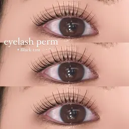 【4月限定価格🇰🇷🩶】韓国マスカラパーマ(パリジェンヌorカールタイプ)+美容液仕上げ✨