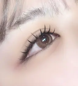 LEDフラットラッシュ160本