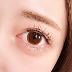 🌷写真モデルメニュー🌷【パリジェンヌラッシュリフトorメーテルラッシュリフト🎀】美容液コーティング付き🪄︎︎✨