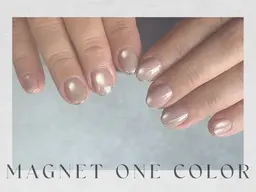 【期間限定クーポン】マグネットワンカラー　初回他店オフ無料　 可愛い微粒子マグがたくさん*.ﾟ