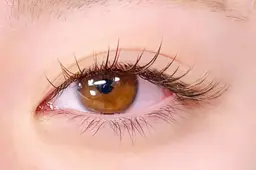 【新メニュー】エクステ×ラッシュリフト ~80本  ￥8,380⇒￥3,980