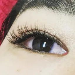 【10月6日・20日を選んで下さい】プレゼント付　フラットラッシュ（マット）セーブル　100本