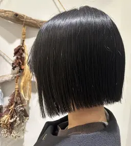 ロング​〜​ボブ（鎖骨下までのカットのみ）