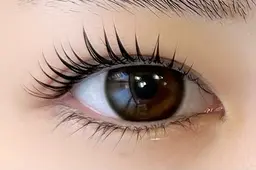 当店新規限定⭐️パリジェンヌ、ラッシュリフト⭐️オフ込み