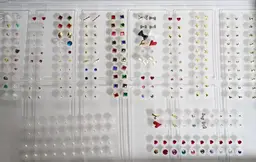 耳つぼジュエリー作り体験