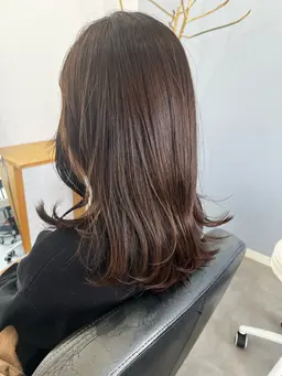 シャンプー➕カット