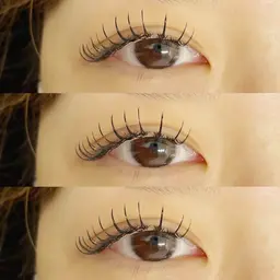 人気No.1🦋パリ×バインドロック40束