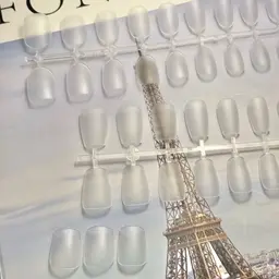 【1月限定】オフなし／チップ長さ出しワンカラー(長さ出し練習モデル)